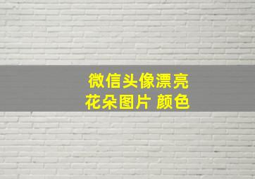 微信头像漂亮花朵图片 颜色